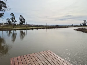 PARQUE METROPOLITANO